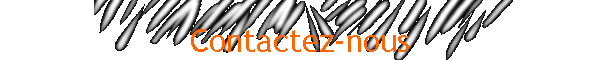 Contactez-nous